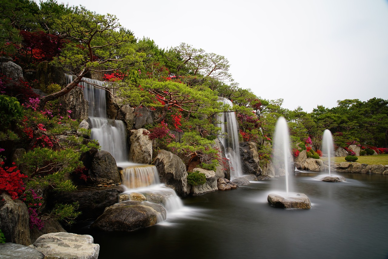 How to Create a DIY Sustainable Water Garden